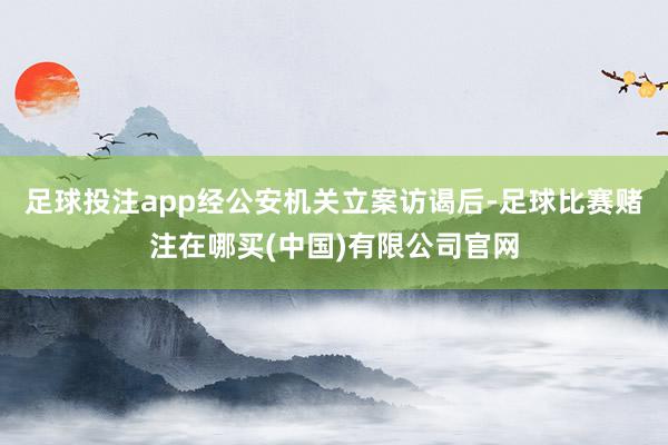足球投注app经公安机关立案访谒后-足球比赛赌注在哪买(中国)有限公司官网