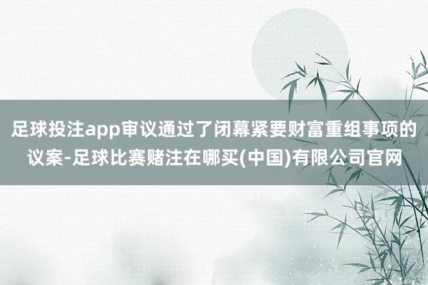 足球投注app审议通过了闭幕紧要财富重组事项的议案-足球比赛赌注在哪买(中国)有限公司官网