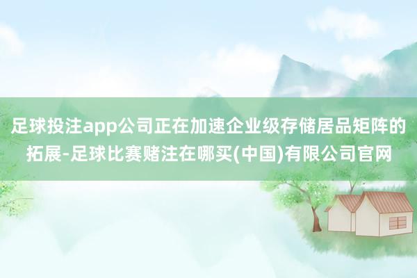 足球投注app公司正在加速企业级存储居品矩阵的拓展-足球比赛赌注在哪买(中国)有限公司官网