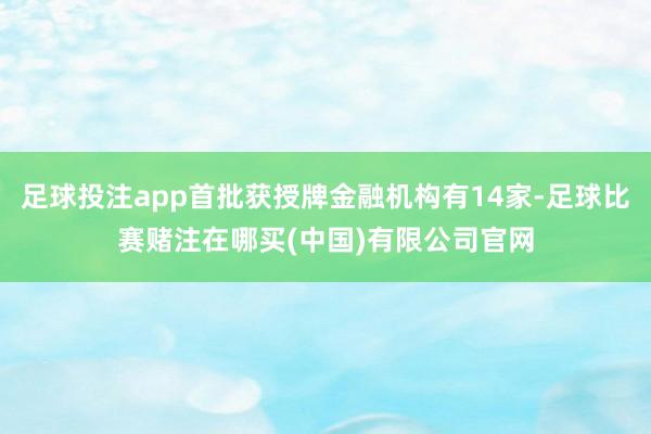 足球投注app首批获授牌金融机构有14家-足球比赛赌注在哪买(中国)有限公司官网