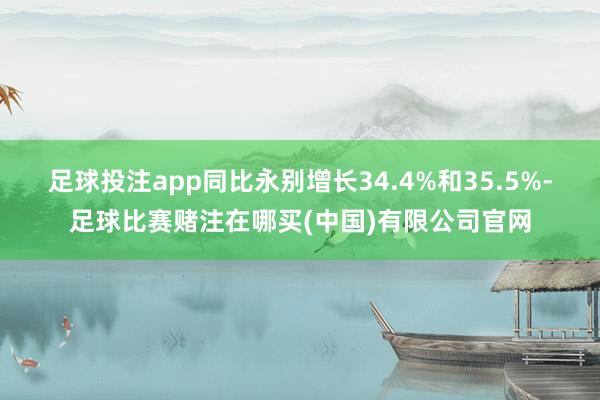 足球投注app同比永别增长34.4%和35.5%-足球比赛赌注在哪买(中国)有限公司官网