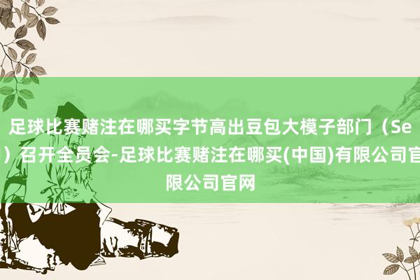 足球比赛赌注在哪买字节高出豆包大模子部门（Seed）召开全员会-足球比赛赌注在哪买(中国)有限公司官网
