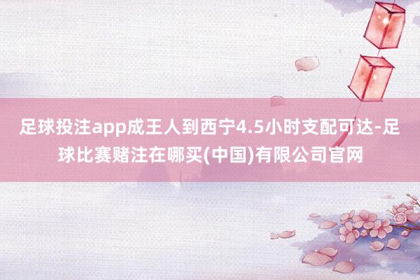 足球投注app成王人到西宁4.5小时支配可达-足球比赛赌注在哪买(中国)有限公司官网
