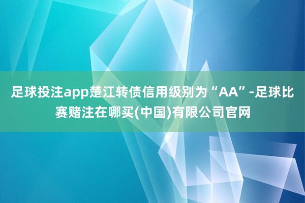 足球投注app楚江转债信用级别为“AA”-足球比赛赌注在哪买(中国)有限公司官网