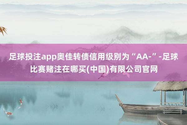 足球投注app奥佳转债信用级别为“AA-”-足球比赛赌注在哪买(中国)有限公司官网
