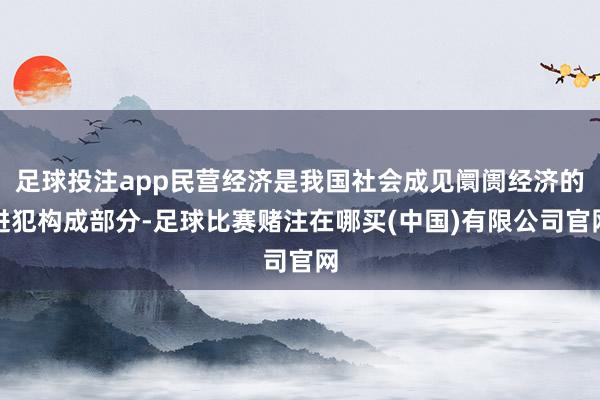 足球投注app民营经济是我国社会成见阛阓经济的进犯构成部分-足球比赛赌注在哪买(中国)有限公司官网