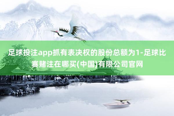 足球投注app抓有表决权的股份总额为1-足球比赛赌注在哪买(中国)有限公司官网