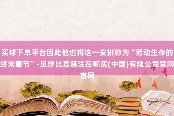 买球下单平台因此他也将这一安排称为“劳动生存的终末章节”-足球比赛赌注在哪买(中国)有限公司官网