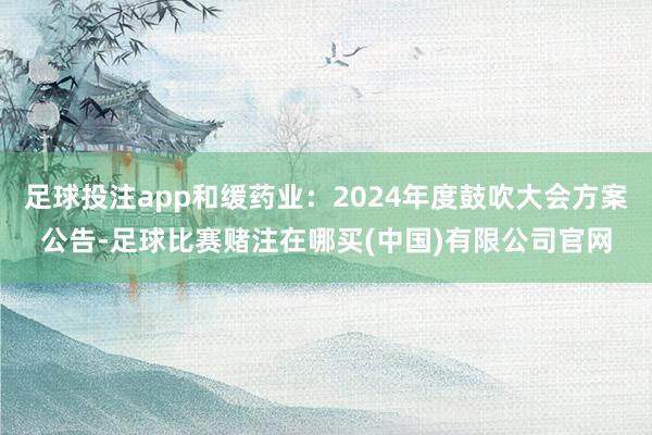 足球投注app和缓药业：2024年度鼓吹大会方案公告-足球比赛赌注在哪买(中国)有限公司官网