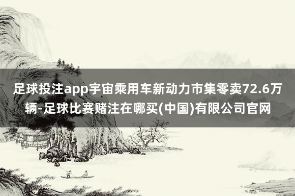 足球投注app宇宙乘用车新动力市集零卖72.6万辆-足球比赛赌注在哪买(中国)有限公司官网