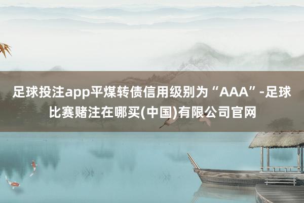 足球投注app平煤转债信用级别为“AAA”-足球比赛赌注在哪买(中国)有限公司官网