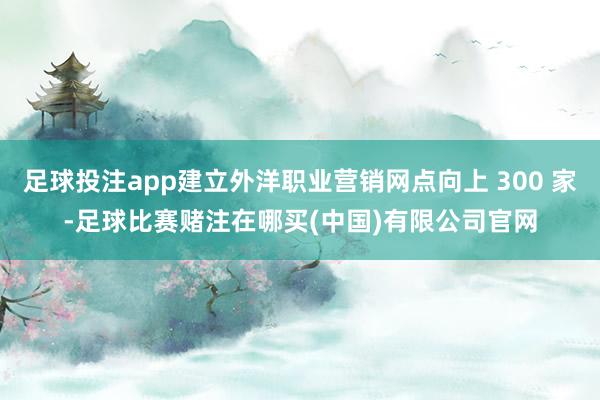 足球投注app建立外洋职业营销网点向上 300 家-足球比赛赌注在哪买(中国)有限公司官网