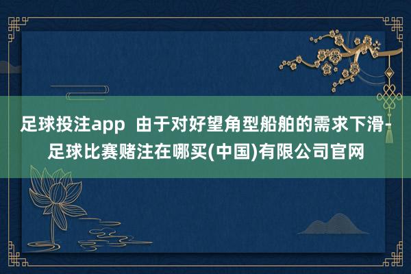 足球投注app  由于对好望角型船舶的需求下滑-足球比赛赌注在哪买(中国)有限公司官网
