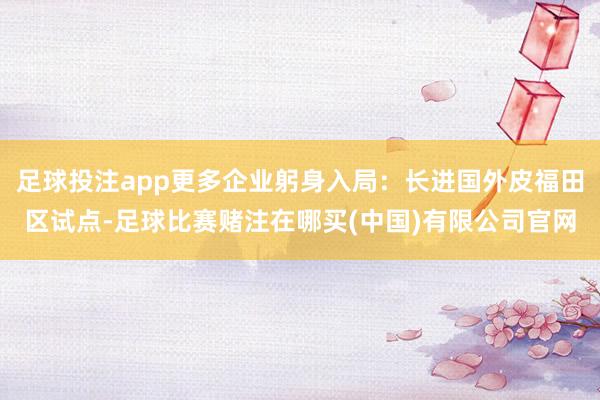 足球投注app更多企业躬身入局：长进国外皮福田区试点-足球比赛赌注在哪买(中国)有限公司官网