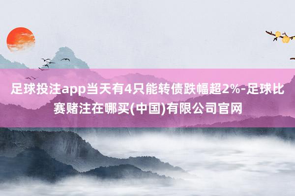 足球投注app当天有4只能转债跌幅超2%-足球比赛赌注在哪买(中国)有限公司官网