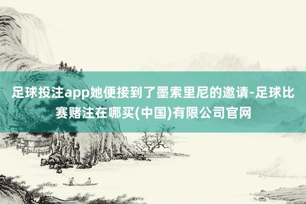 足球投注app她便接到了墨索里尼的邀请-足球比赛赌注在哪买(中国)有限公司官网