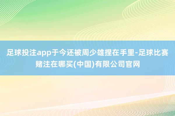 足球投注app于今还被周少雄捏在手里-足球比赛赌注在哪买(中国)有限公司官网