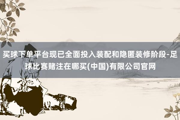 买球下单平台现已全面投入装配和隐匿装修阶段-足球比赛赌注在哪买(中国)有限公司官网