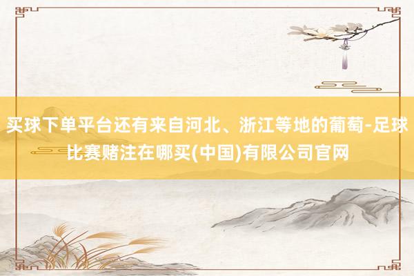 买球下单平台还有来自河北、浙江等地的葡萄-足球比赛赌注在哪买(中国)有限公司官网