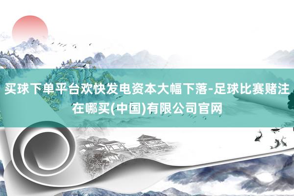 买球下单平台欢快发电资本大幅下落-足球比赛赌注在哪买(中国)有限公司官网