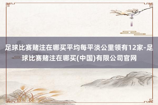 足球比赛赌注在哪买平均每平淡公里领有12家-足球比赛赌注在哪买(中国)有限公司官网