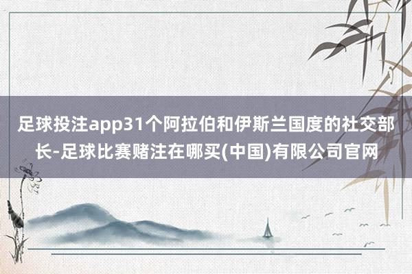 足球投注app31个阿拉伯和伊斯兰国度的社交部长-足球比赛赌注在哪买(中国)有限公司官网