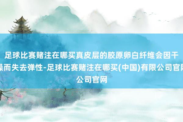 足球比赛赌注在哪买真皮层的胶原卵白纤维会因干燥而失去弹性-足球比赛赌注在哪买(中国)有限公司官网