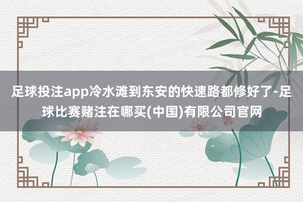 足球投注app冷水滩到东安的快速路都修好了-足球比赛赌注在哪买(中国)有限公司官网