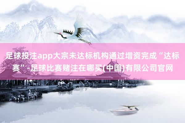 足球投注app大宗未达标机构通过增资完成“达标赛”-足球比赛赌注在哪买(中国)有限公司官网