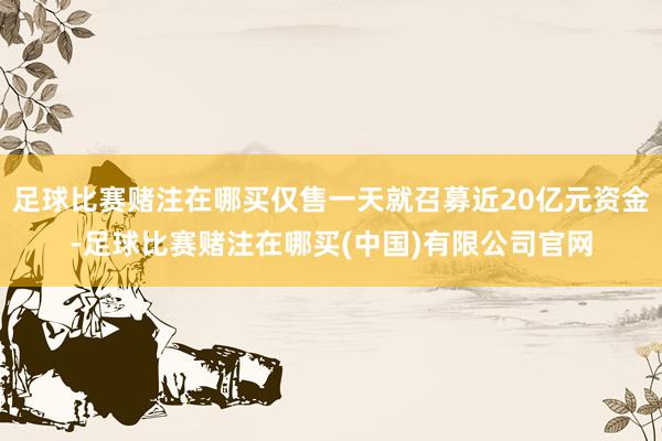 足球比赛赌注在哪买仅售一天就召募近20亿元资金-足球比赛赌注在哪买(中国)有限公司官网