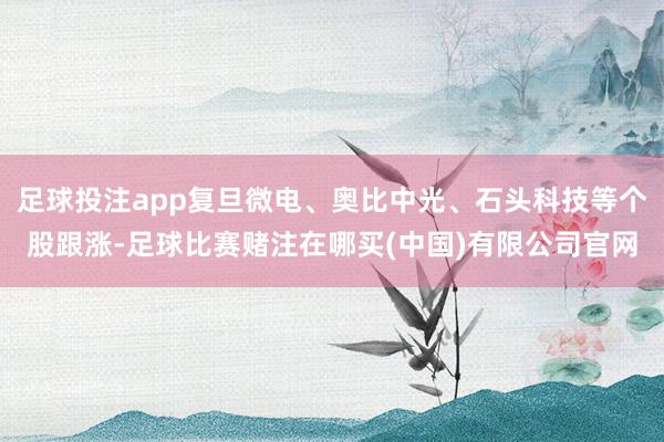 足球投注app复旦微电、奥比中光、石头科技等个股跟涨-足球比赛赌注在哪买(中国)有限公司官网