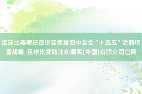 足球比赛赌注在哪买疼爱四中全会“十五五”洽商增量战略-足球比赛赌注在哪买(中国)有限公司官网