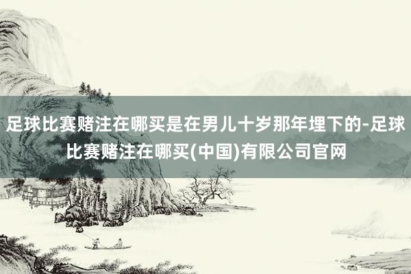 足球比赛赌注在哪买是在男儿十岁那年埋下的-足球比赛赌注在哪买(中国)有限公司官网